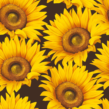 Seamless pattern with sunflower on background. Collection decorative floral design elements. Flowers, buds and leaf hand drawn
