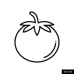 Tomato vector icon in line style design for website design, app, UI, isolated on white background. Editable stroke. Vector illustration.