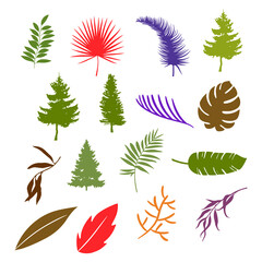Fototapeta na wymiar vector set natural tree illustration