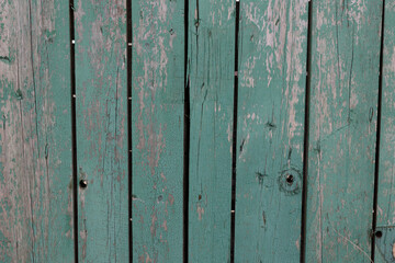 Fototapeta premium Texture of wood grain,background image