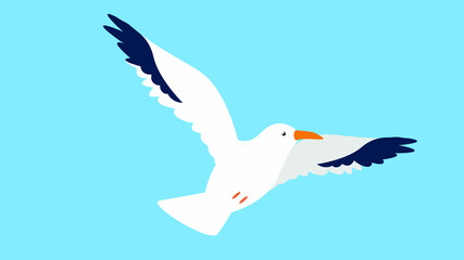 White seagull spread its wings in flight