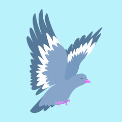 Flying dove spread its wings