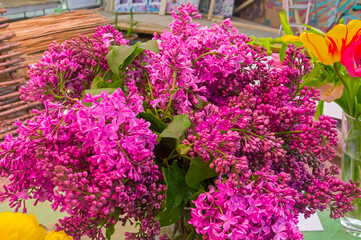 Beautiful bouquet of lilac