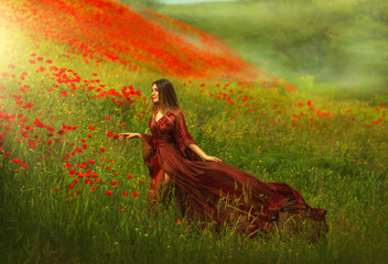 Happy fantasy woman queen in red silk dress, walking in poppy field, summer green grass, nature...