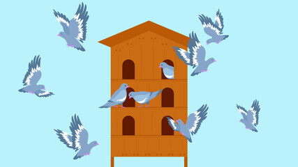 Pigeons fly near the dovecote