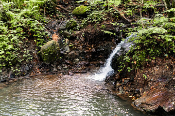 small waterfall from a mountain river in the summer forest landcape beauty in nature