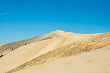 Fototapeta na wymiar Diagonal lines and clear colour make a desert-like landscape of the Giant sand dunes, Te Paki, on a bright summer day. Northland, New Zealand