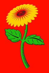 Engraving stylized drawing of a sunflower on a red background