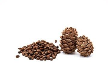 Cedar cones and unshelled pine nuts on white background.