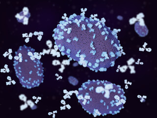 Antibodies chasing monkeypox viruses