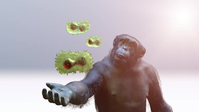 monkey pox virus of animal origin and monkey render 3d 