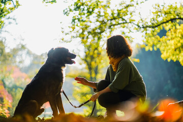 back view of a female dog owner with her pet dog in the park giving  instructions during a  dog...