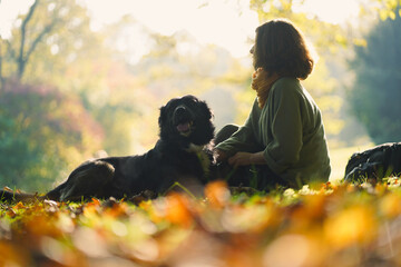 back view of young woman sitting on the grass with her pet dog  and watching the summer park sunset with warm  Sunbeams surrounded  by green trees and colorful leaves in romantic autumn mood 