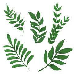 premium vector elegant watercolor leaf
