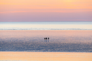 Friends are enjoying the beautiful view at 80 mile beach, in Broome, Western Australia