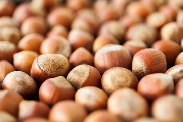 Hazelnuts background, close up