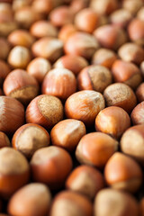 Hazelnuts background, close up