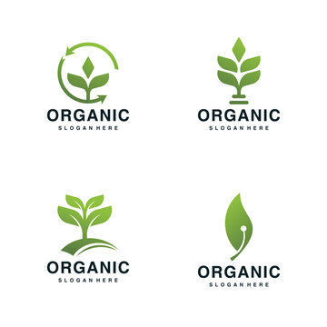 Set of ecology logo icon with modern leave and organic concept design Premium Vector