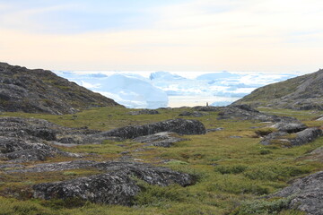 Coastal scenery with ice fields (horizontal), Ilulissat, Greenland