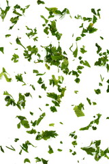 Aromatic Spice, chopped fresh celery leaves isolated on white. Aromatic Spice celery leaves.