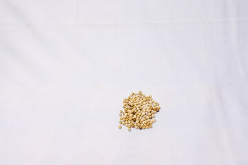 some amount of white pepper which is a spice known for its warm spicy taste, scattered and isolated in white