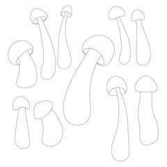 Set of mushrooms vector simple illustration isolated on white background. Outline hand drawn sketched version. Vector mycology. Natural healthy fungus, autumn design.