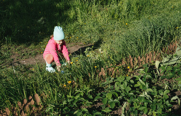 Girl in the backyard doing gardening
