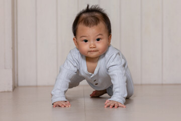 Naklejka premium Healthy asian baby toddler crawling on floor to learn to crawl indoors. Adorable baby keeping her belly and legs down on the floor to belly crawl fun and happiness at home