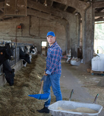  Рortrait of modern man working at farm in sunlit cow shed.