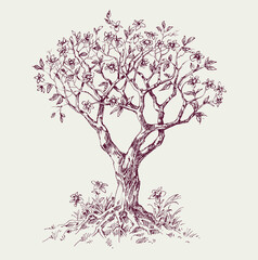 Magnolia tree in bloom hand drawn vector illustration