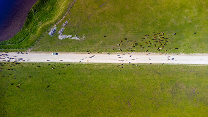 Top view from a drone on mountain pastures and road