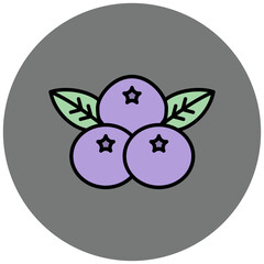Blueberry Icon