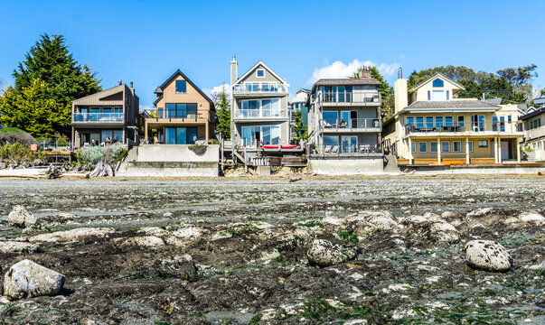 West Seattle Waterfront Scene 2