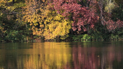 reflections on the water