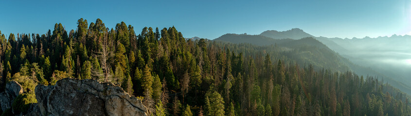 Morning in Sequoia National Park, USA - 507834321