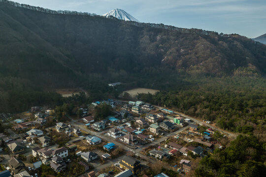 富士山原生林 の画像 8 件の Stock 写真 ベクターおよびビデオ Adobe Stock