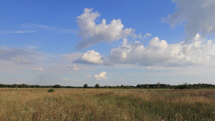 landscape with clouds