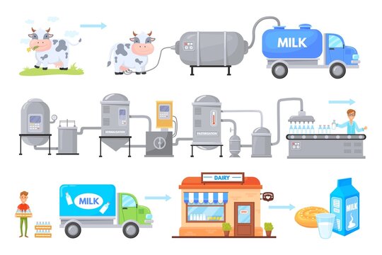 Milk manufacturing. Dairy factory production process, manufacture chain cow milking farm to consumer food industry technology stage cheese product