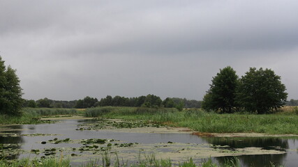 morning on the river