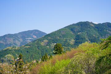 Fototapeta na wymiar 春の桜ヶ丘公園からの眺望(徳島県三好市)