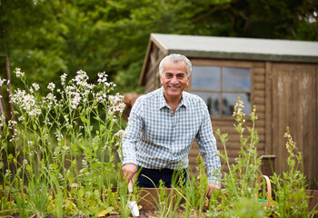 Portrait Of Senior Man In Garden At Home Digging And Weeding In Raised Beds