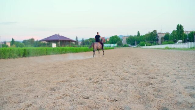A man rides a horse on the sand