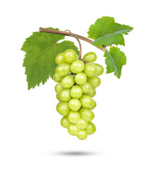 Obraz premium Fresh green grape isolated on white background