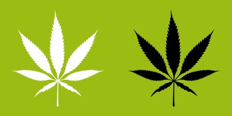 Cannabis leaves on a green background. Marijuana leaf weed icon logo symbol sign illustration graphic. Growing medical marijuana. Vector illustration.