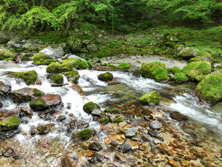 Fototapeta premium 愛媛県内子町 小田深山渓谷の風景