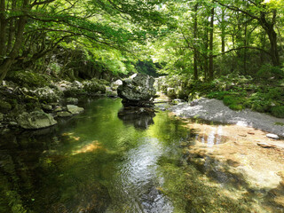 Fototapeta premium 愛媛県内子町 小田深山渓谷の風景