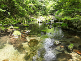 愛媛県内子町　小田深山渓谷の風景