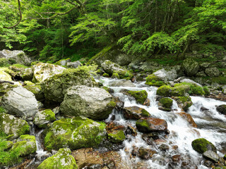 愛媛県内子町　小田深山渓谷の風景
