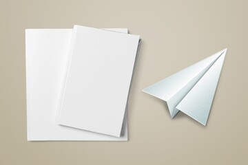 A white paper plane and blank paper on background.