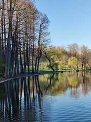 Fototapeta na wymiar Reflection of trees in the lake - autumn in the park